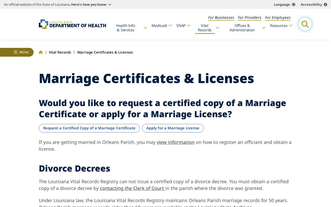 Louisiana marriage and divorce record custody guidance